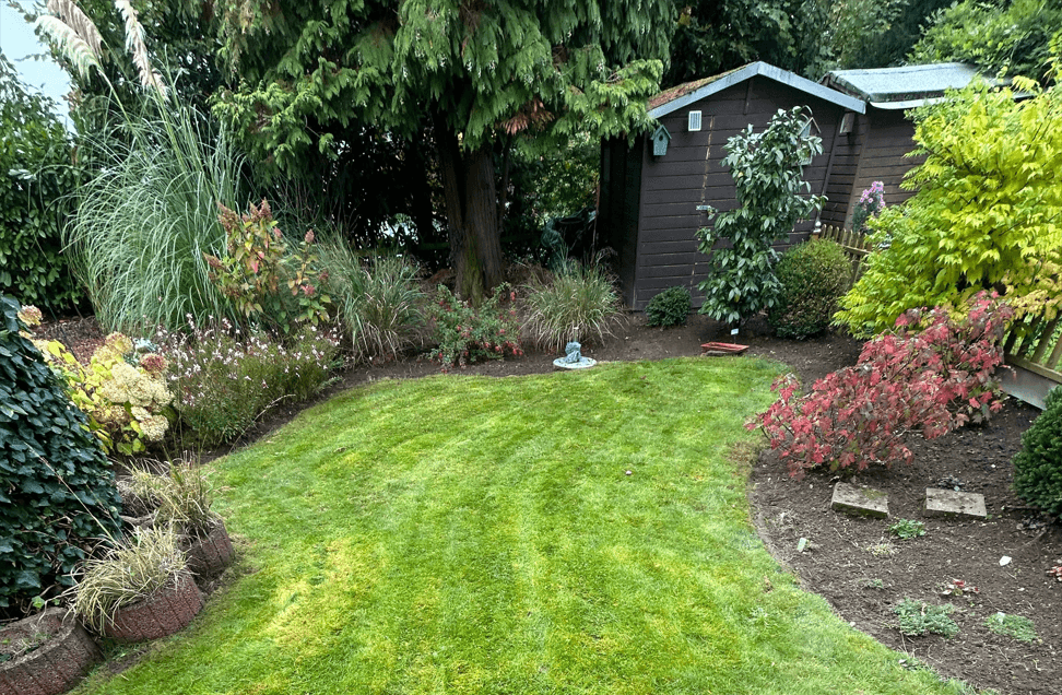 Gepflegter Garten mit Rasen und Hecken